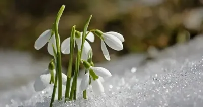 Cemre düşme tarihleri 2026: Havaya, suya, toprağa sırasıyla cemre ne zaman düşecek?