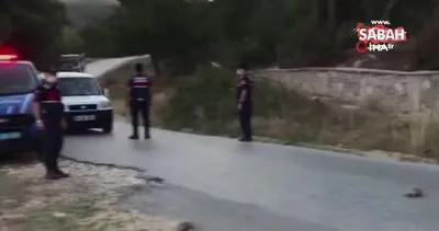 Uşak’ta Jandarma ekipleri karşıdan karşıya geçen kaplumbağa ailesi için trafiği durdurdu | Video
