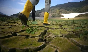 TÜİK açıkladı: Çevre koruma harcamaları 440 milyar TL’yi geçti