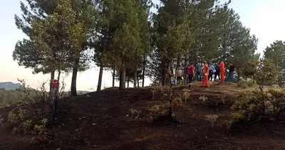 Bingöl'de çıkan orman yangını kısa sürede kontrol altına alındı #bingol