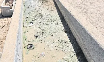 Mavi bayraklı sahili kirlettik