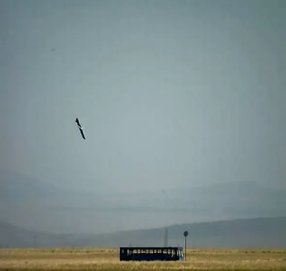 Türk mühendislerinin geliştirdiği silah ve araçlar! Tamamen yerli...