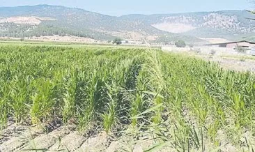 212 bin dekar arazi SUYA kavuştu