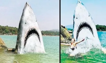Jaws değil kaya!