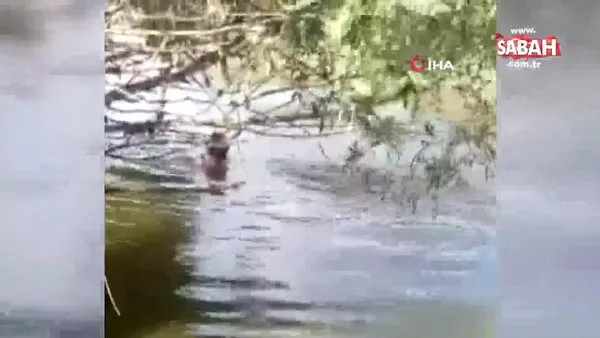 Nehre daldı, elleriyle balık tuttu | Video