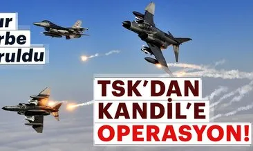 TSK’dan PKK’ya ağır darbe