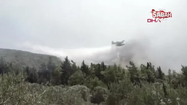Rodos'ta orman yangınlarıyla mücadele kamerada | Video