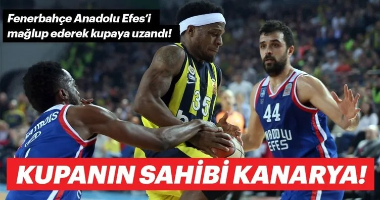 TBF Erkekler Türkiye Kupası şampiyonu Fenerbahçe Beko oldu