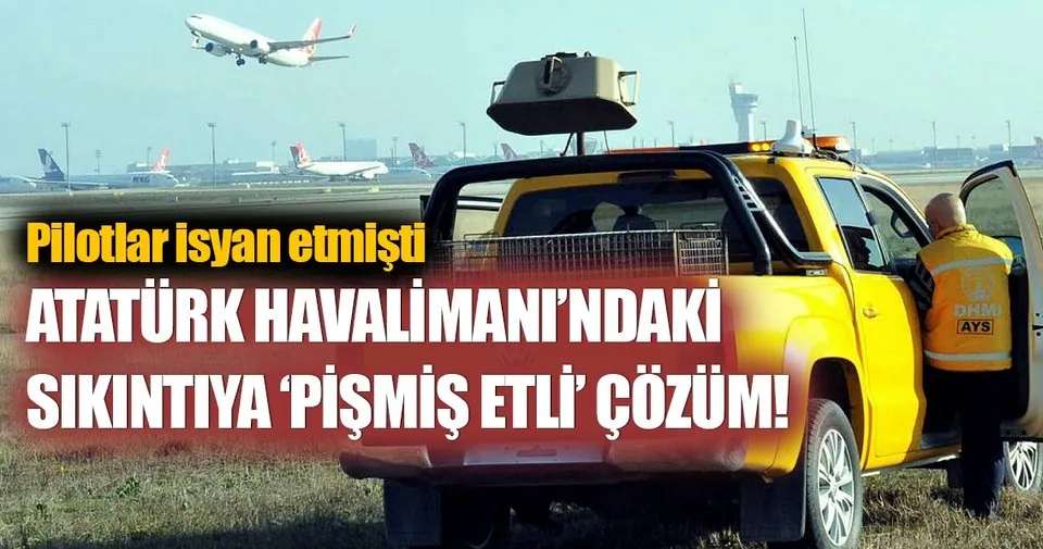 Ataturk Havalimani Nda Kopek Sikintisi Son Dakika Haberler