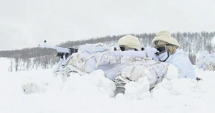-39’da operasyon PKK’ya kış darbesi