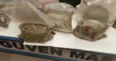 4 kilo Bonzai ile yakalandı!