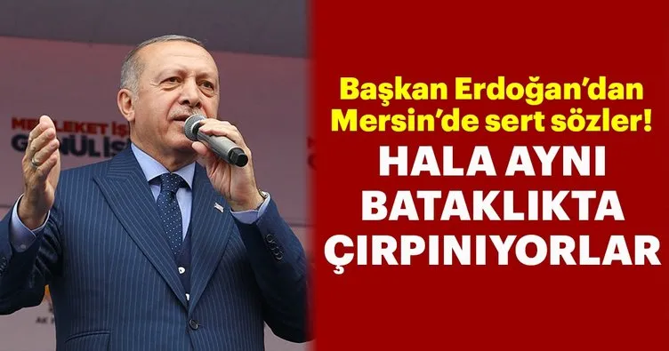 Başkan Erdoğan Mersin'de sert sözler: Hala aynı bataklıkta çırpınıyorlar!