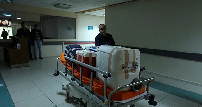 organ bagisi nedir organ bagisi nasil