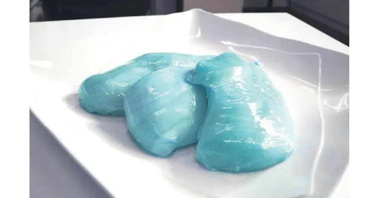 ‘Uykucu Tavuk’ akımına son verildi