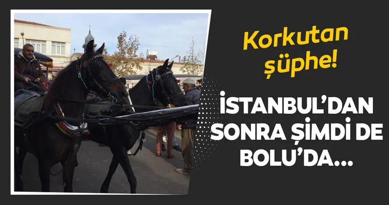 Son dakika: Bolu’da 8 at Ruam hastalığı şüphesiyle karantinaya alındı