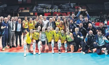 Sarı kanarya filede tam gaz