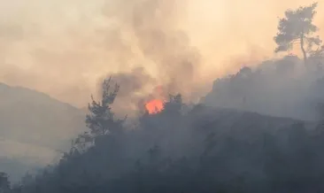Bilecik’te orman yangını: Dumandan etkilenen 1 kişi hastaneye kaldırıldı