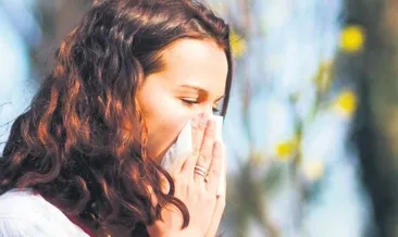 Bahar nezlesi erken geldi