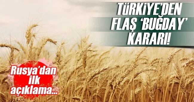 Türkiye Rus buğdayını kısıtlıyor iddiasına Kremlin’den flaş açıklama