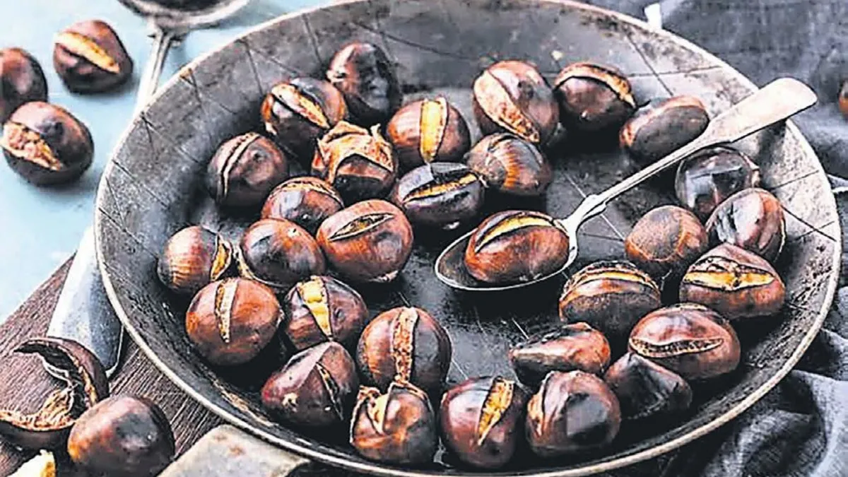 Kestane kebap yemesi sevap