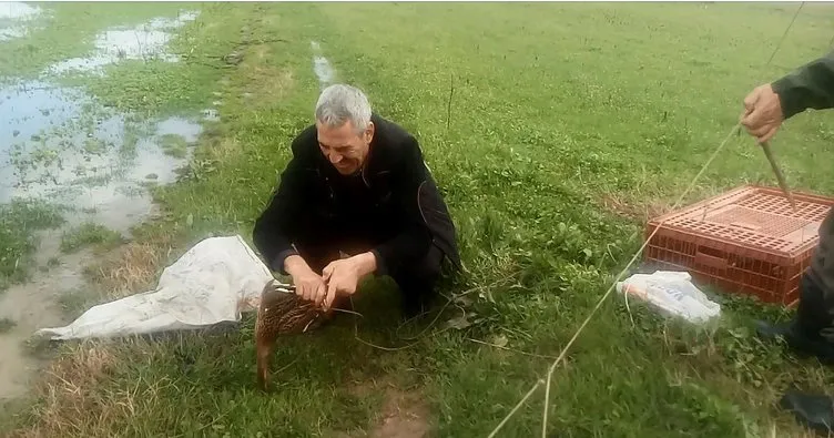 Bursa’da mühreyle ördek avlayan avcıya 10 bin lira ceza
