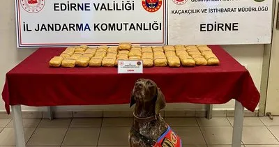 Narkotik köpek Ayaz, 18 kilo eroin kokladı #edirne
