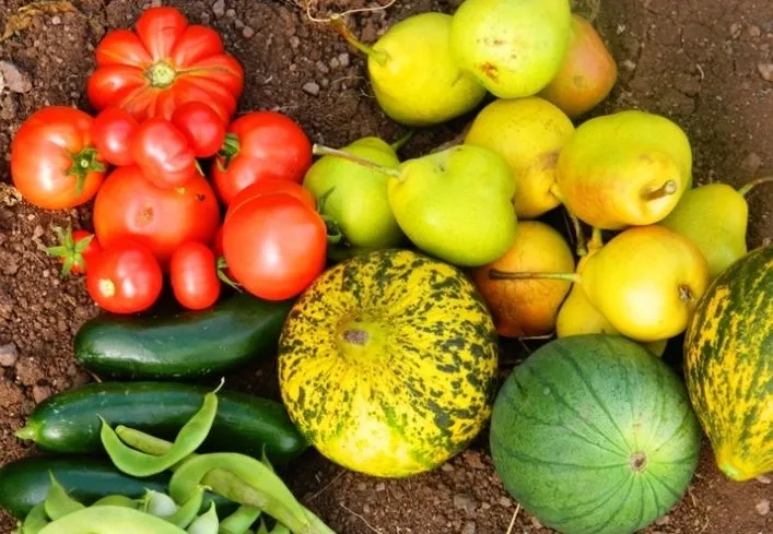 Ananas kendiliğinden organiktir ama şeftaliye dikkat!