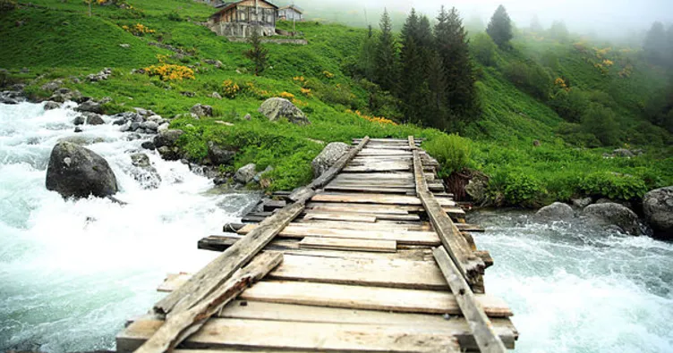 Rize’de aranan 11 Ayder Yaylası bulundu