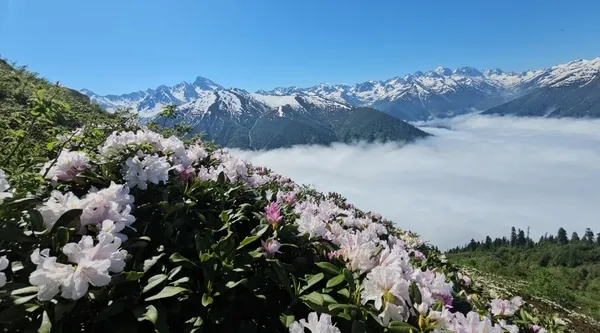 rize-yaylalarinda-kartpostallik-goruntu-sis-bulutlari-zirveleri-sardi-1782548481193.jpg
