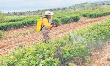 Kuruyan göl susuz tarımla geri döndü #burdur
