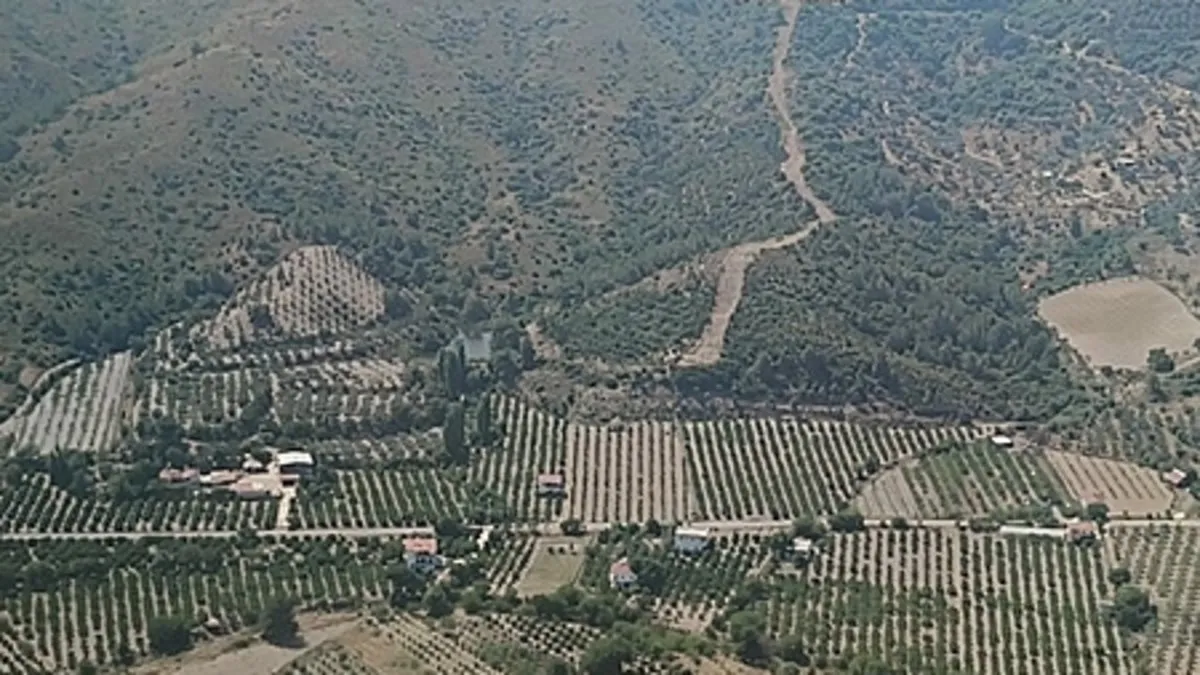 İzmir’de ormanlık alanda çıkan yangın söndürüldü İzmir’de ormanlık alanda çıkan yangın söndürüldü