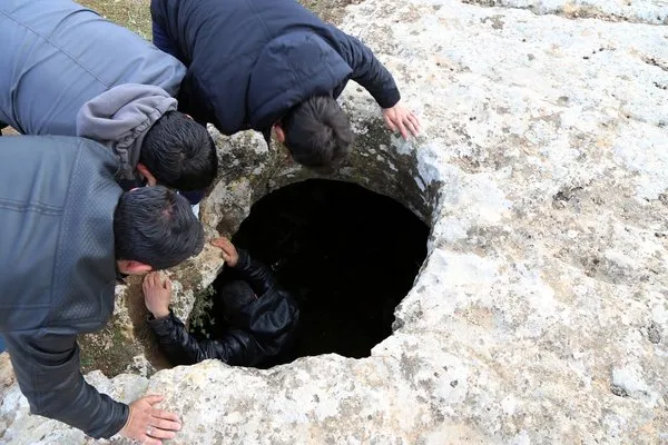 Şanlıurfa'da çöl varanı ölü bulundu