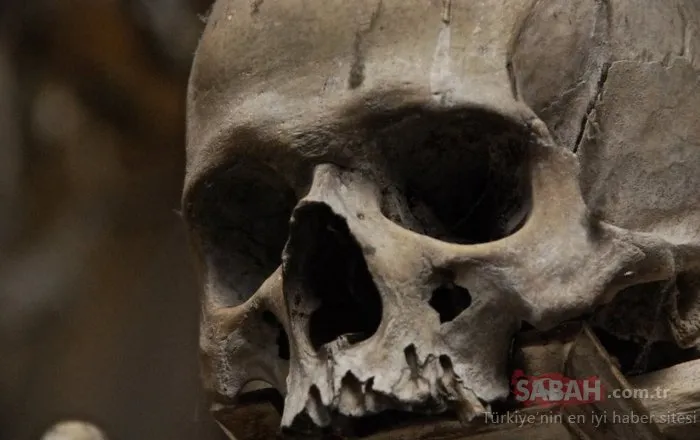 İstanbul’daki ilk Afrikalının kafatası Bathonea kazılarında bulundu