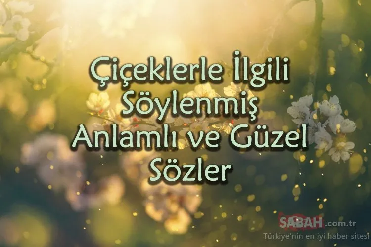 seksi erkek foto rüyada kızının kustuğunu görmek