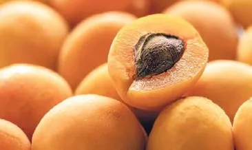 Mayısın zam şampiyonu kayısı oldu