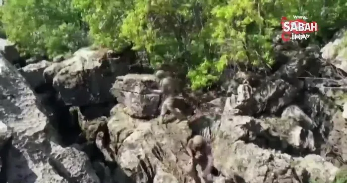 8 ilde Bozdoğan-28 operasyonlarında 82 mağara, sığınak ve barınma alanı imha edildi | Video