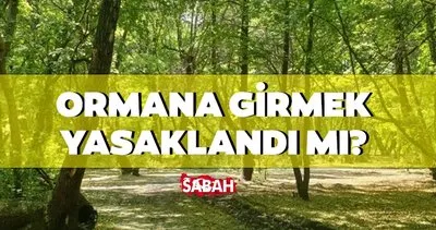 İstanbul’da ormanlara giriş yasak mı, nereler yasak? İstanbul’da ormana giriş yasağı ne zaman başlıyor, piknik yapmak yasak mı?