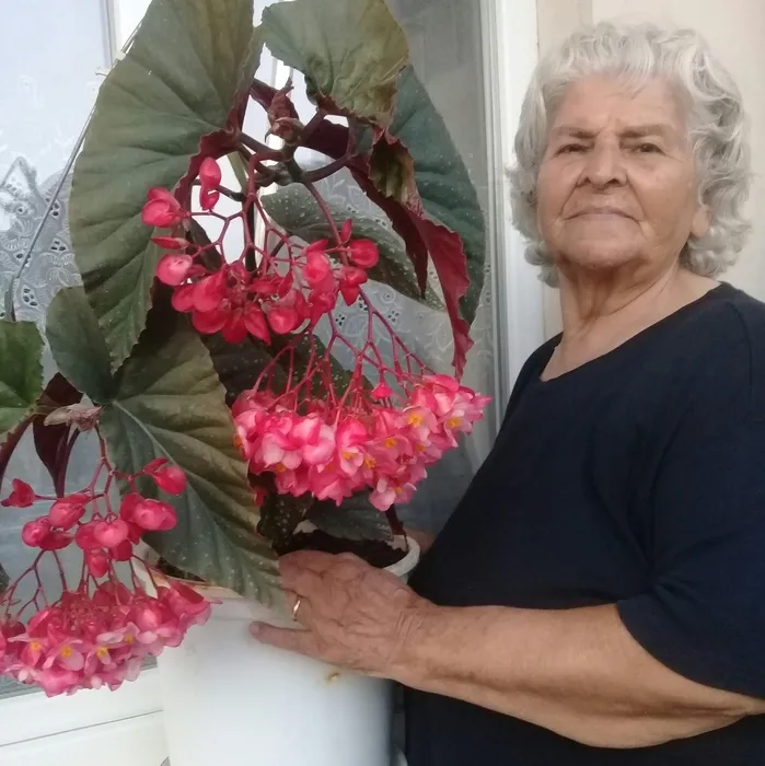 Aydın’daki feci kazada ağır yaralanmıştı: Fikriye Becerikli yaşam mücadelesini kaybetti!