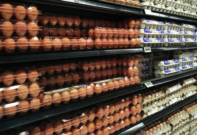 Yumurtayı neden buzdolabı kapağında saklamamalısınız?