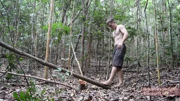 Ormanda tuğla yaptı