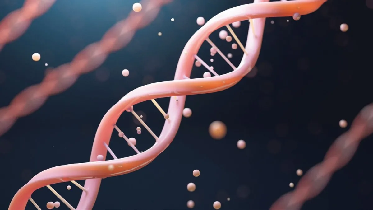 Uzun yaşamın sırrı genlerde saklı