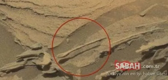 Mars'tan gelen fotoğraf kan dondurdu! NASA herhangi bir açıklama yapmadı