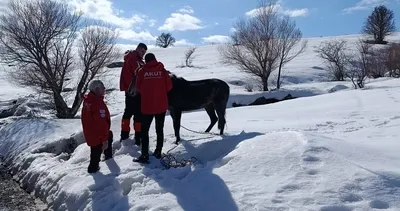 Bingöl’de AKUT yaralı at için seferber oldu #bingol