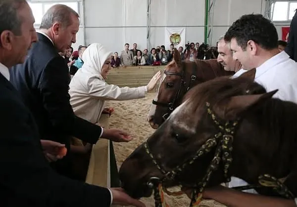 Katar emirinden Cumhurbaşkanı’na 53 Arap atı hediyesi