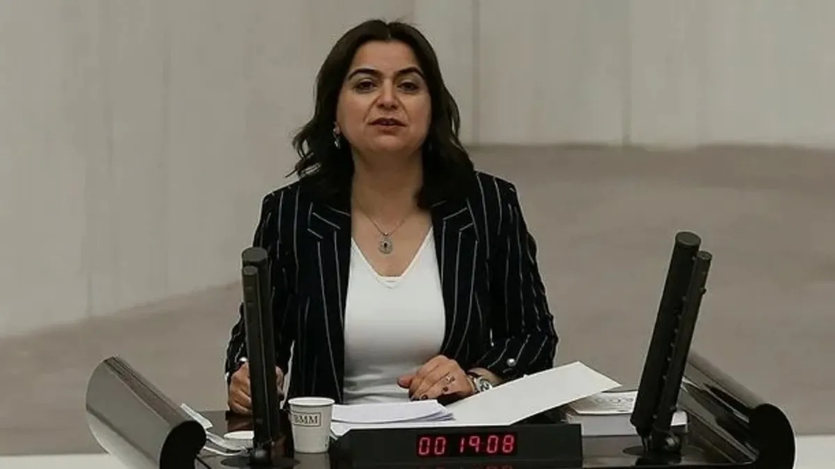 DEM'li Gülistan Koçyiğit sınır ötesi operasyonlardan rahatsız oldu: Türkiye bu saldırılarla ne yapmak istiyor?