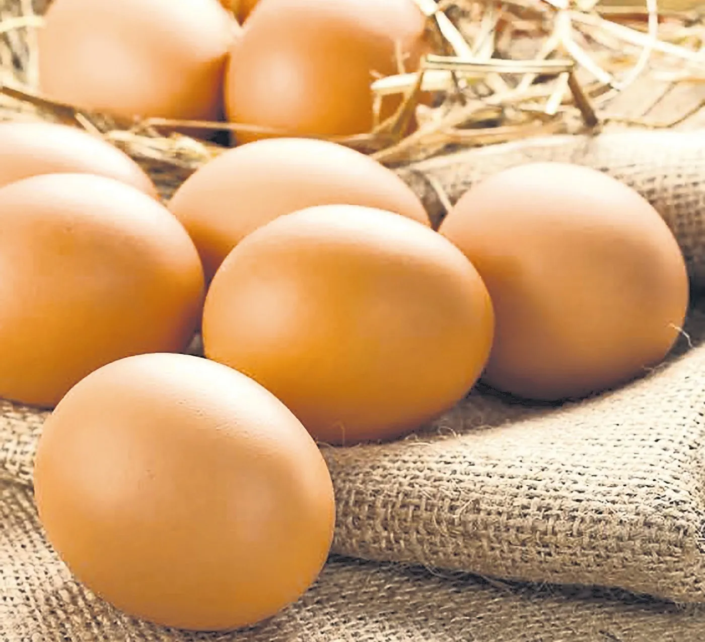 Yumurtasız asla – İDİL AÇIKALIN Yumurtasız asla – İDİL AÇIKALIN