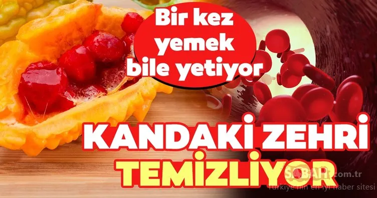 Kanı temizleyen şifa deposu besin!