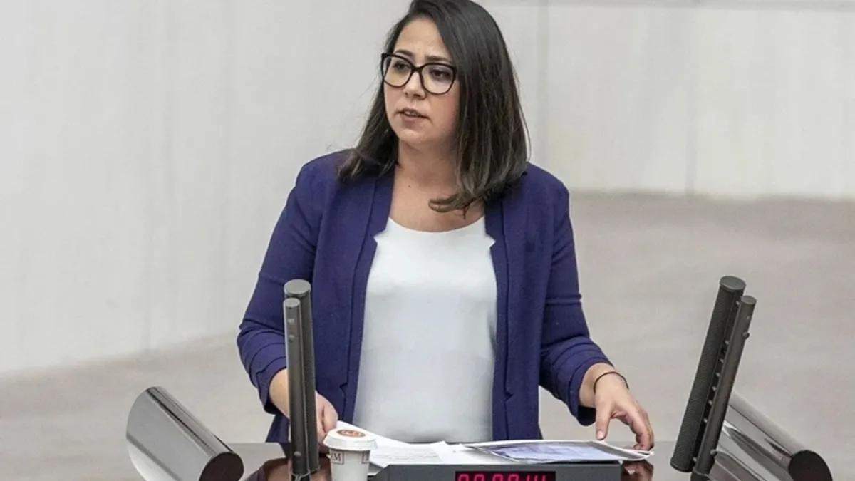 TİP'li Sera Kadıgil hakkında "Cumhurbaşkanı'na hakaret" soruşturması haber görseli