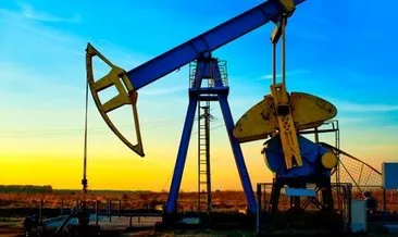 TDK petrol ve doğal gazın Türkçe karşılıklarını belirledi
