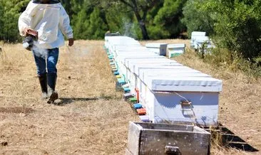 Hobi olarak başladı! Şimdi kilosunu 700 bin liraya satıyor...